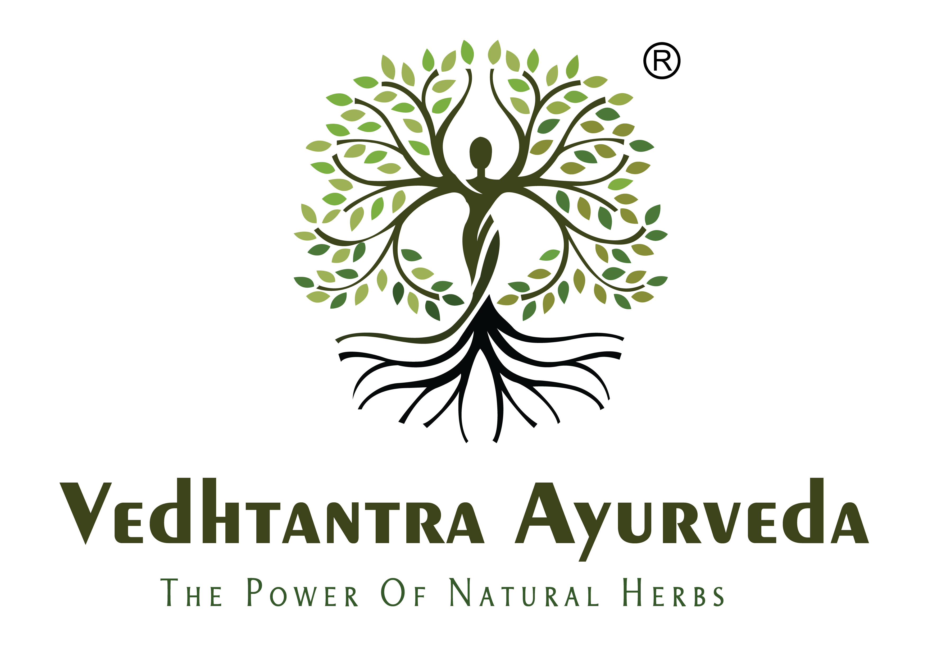 Logo vedhtantra ayurveda supplier producer manufacturera ayurvedic products ahmedabd gujarat india