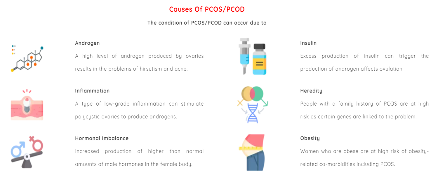 causes of pcos&pcod vedhtantra ayurveda supplier producer manufacturera ayurvedic products ahmedabd gujarat india