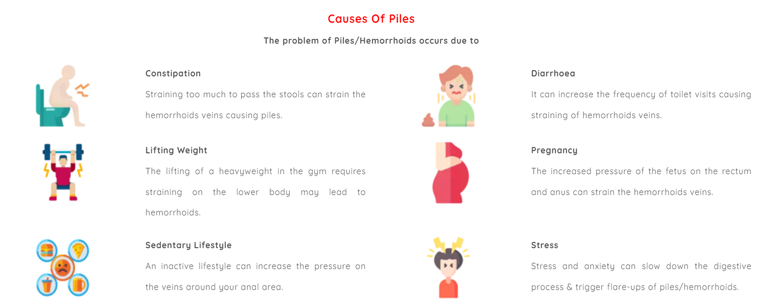 causes of piles vedhtantra ayurveda supplier producer manufacturera ayurvedic products ahmedabd gujarat india